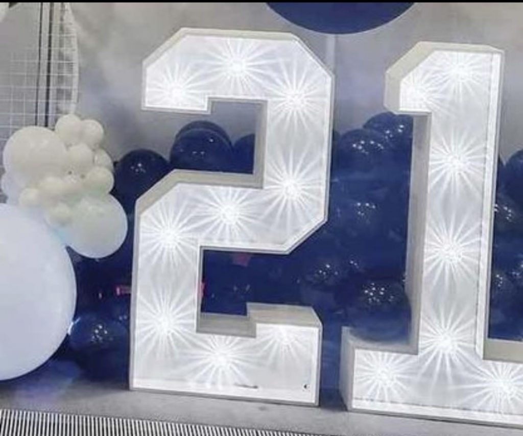 Led light-up numbers. 0-9  - For Rent
